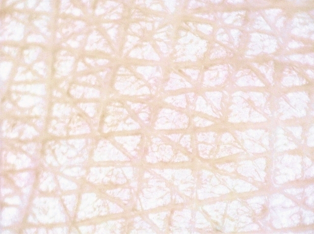 b5499b9a9644fcba709438e0047fd317_s.jpg
