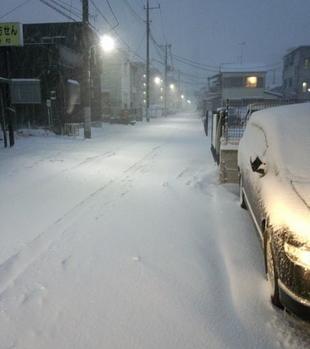 2014-yuki-2.jpg