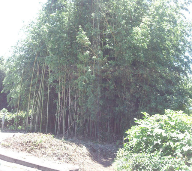 gunma-3.jpg
