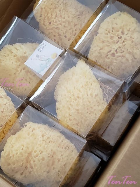 kaimei-sa16.jpg