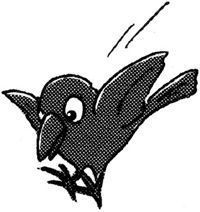 karasu.jpg