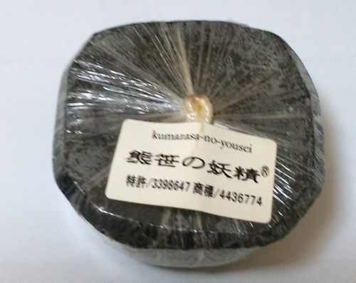 kumasasa-2.jpg