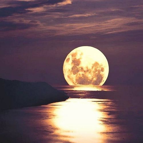 moon1.jpg