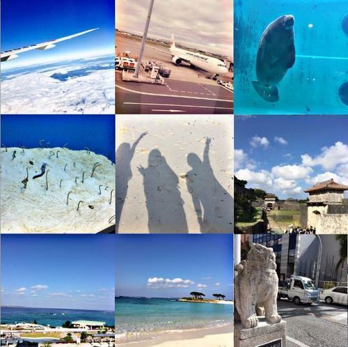 okinawa-4.jpg