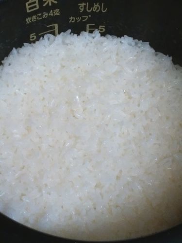 okome.jpg