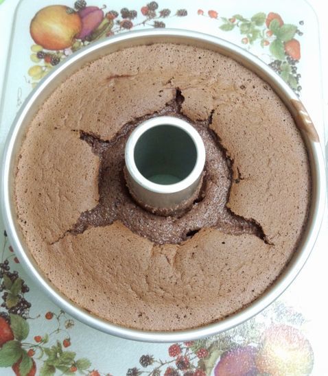 shifon-cocoa.jpg
