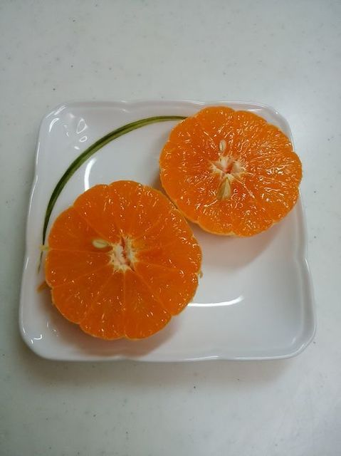 tankan-3.jpg