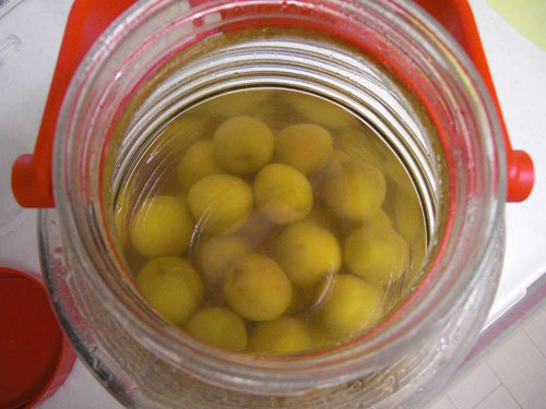 ume.jpg
