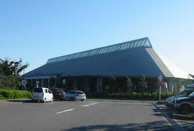 yachiyo-1.jpg